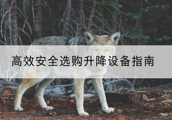 献县升降货梯厂家推荐-*安全选购升降设备指南
