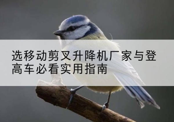 献县电动升降机厂家-选移动剪叉升降机厂家与登高车必看实用指南